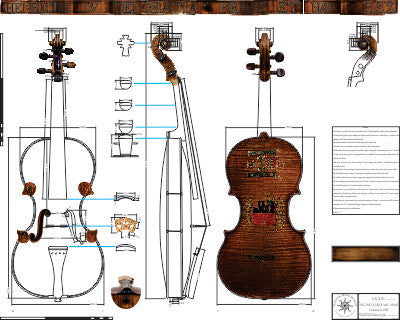 Technical Drawing: Violin (