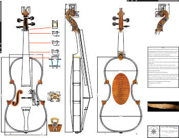 Technical Drawing: Violin (